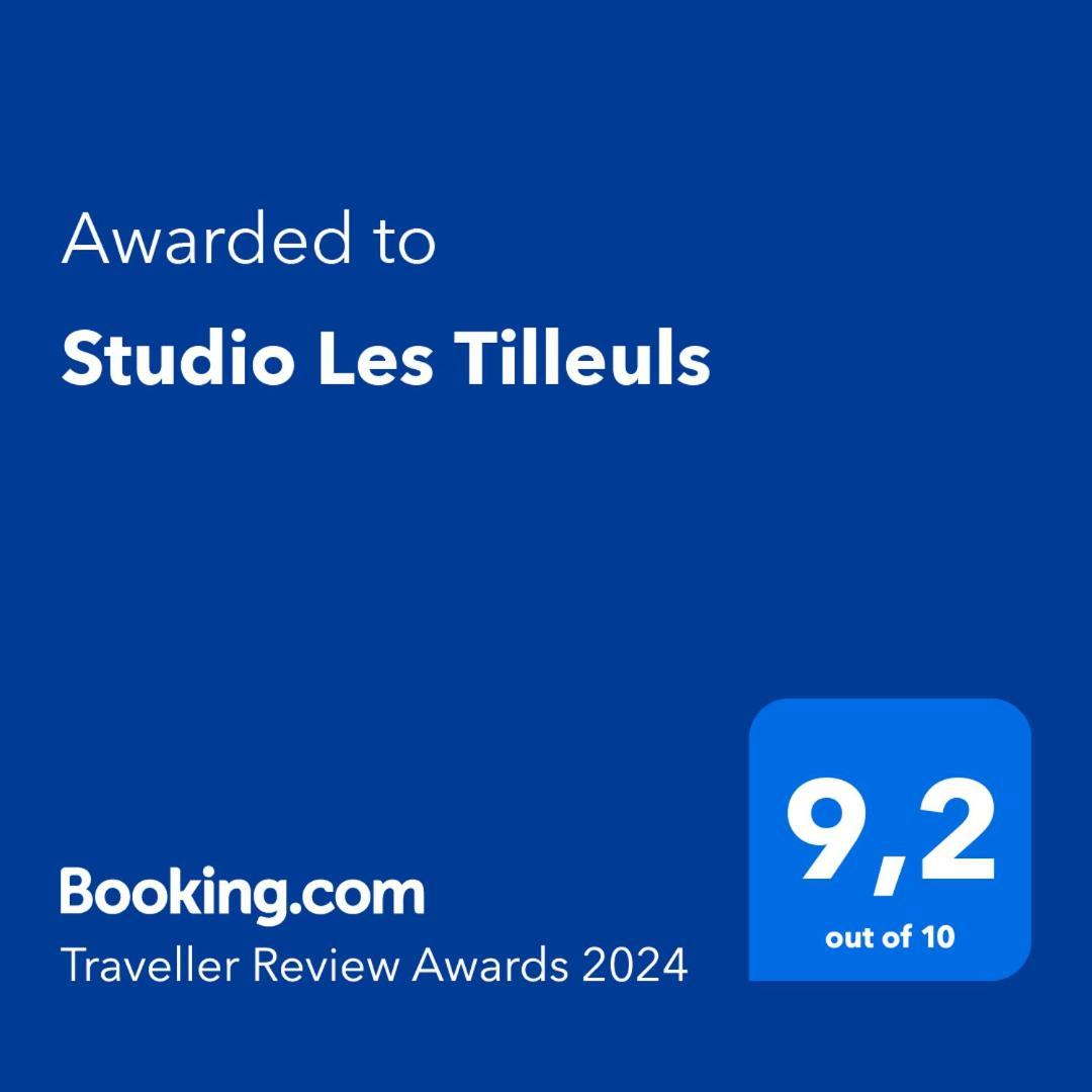 Studio Les Tilleuls Amboise Eksteriør billede